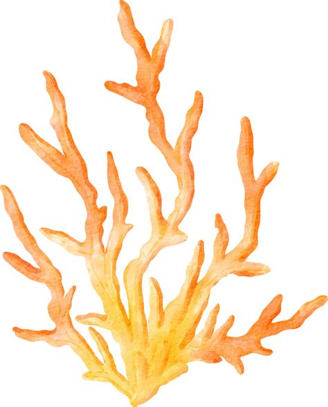 Ocean Coral Clip Art