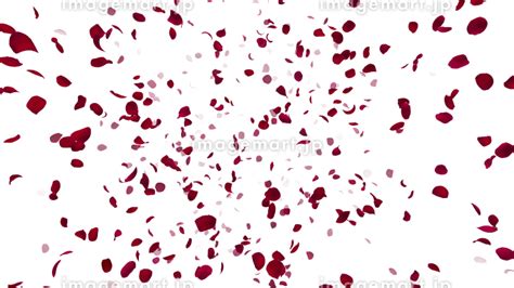 Image result for Twitter Algorithm Flow