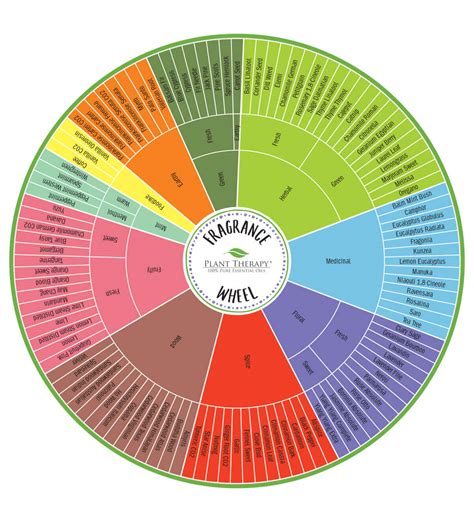 The Fragrance Wheel - Goodmart