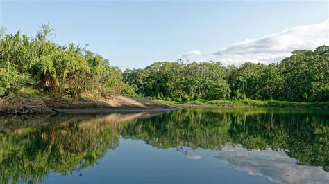 Darien National Park - Panama - Central America | Steppes Travel