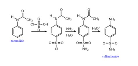 Section 19.13: Formation of Sulfonamides - Terms Flashcards | Quizlet