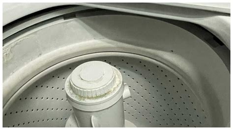 Image result for Washing Machine Simulator Missing Person