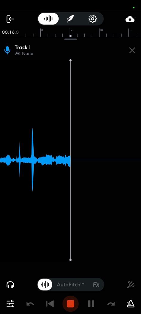 Image result for Singing Recorder