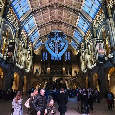 Natural History Museum (London) - All You Need to Know BEFORE You Go