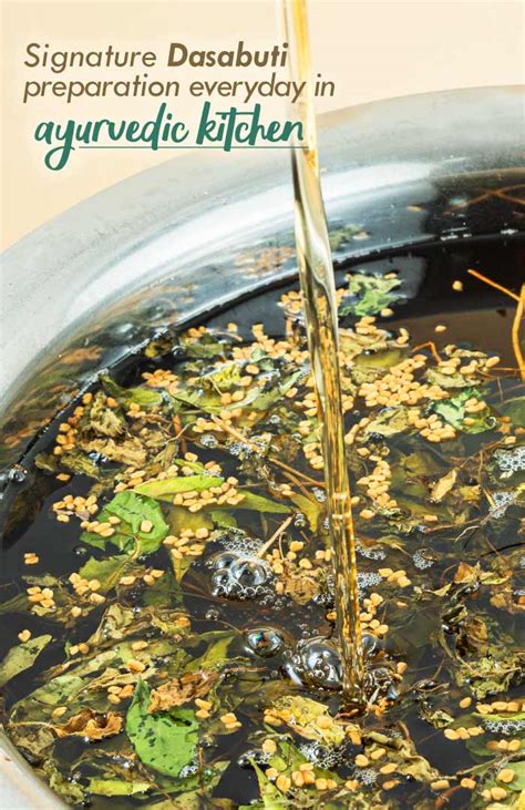 Neem Curry Hibiscus Tri-Leaf 100% Natural, Ayurvedic Herbal Hair Oil ...