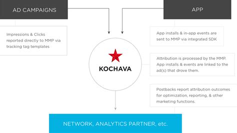 Image result for MMP Pool