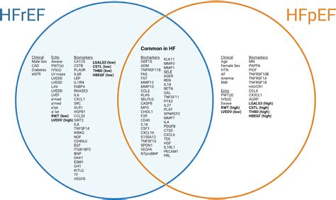Distinguishing heart failure with reduced ejection fraction from heart ...
