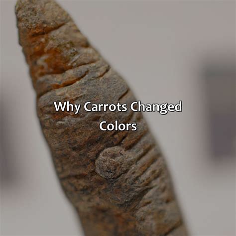 What Color Were Carrots Originally - colorscombo.com