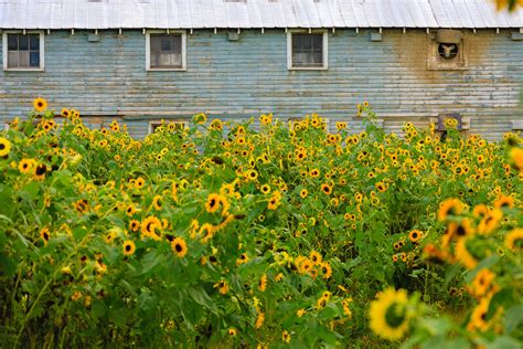 Our Farmer Partners - Black River Produce