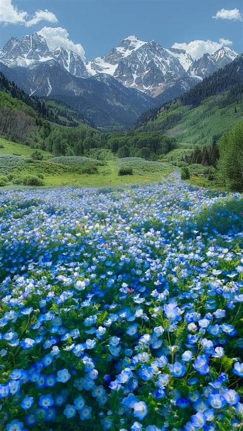 Japan Pretty Places 的图像结果