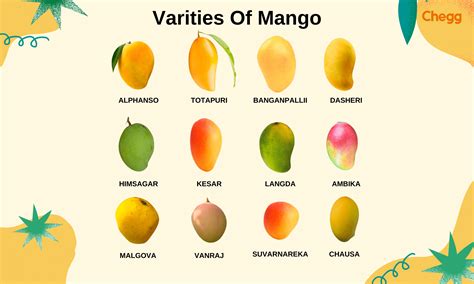 National Fruit of India: 5 Amazing Mango Facts