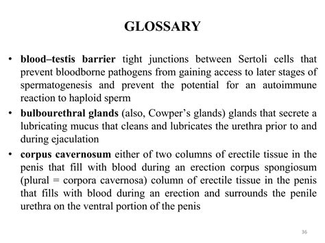 Human reproductive system | PPTX