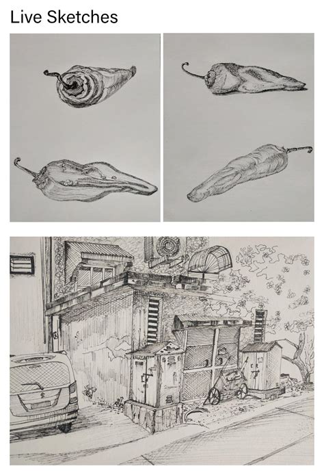 UAR20236 | CEPT - Portfolio