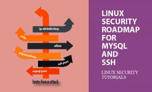 Image result for Linux MySQL Security Evaluation