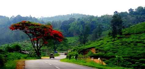 Kumily Idukki - Hi Idukki Tourist Places