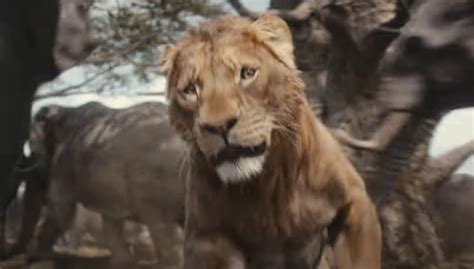 First Look Trailer: 'Mufasa: The Lion King' - That Grape Juice