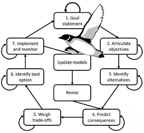 Image result for Structured Decision-Making Examples