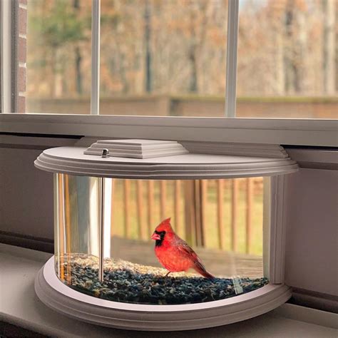 Amazon.com : BAIAPEY in Window Bird Feeders for Viewing - 180° Clear ...