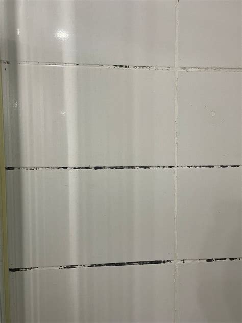 BASILEUS HOTEL (Istanbul) - Hotel Reviews, Photos, Rate Comparison ...