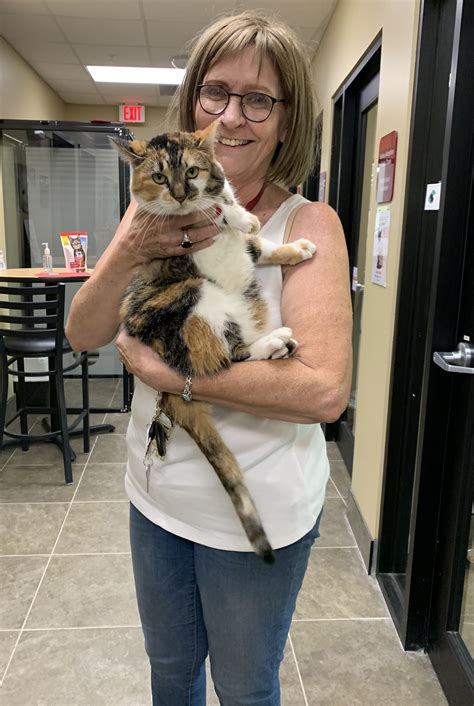 Dubuque Humane Society | Humane society, Human, Adoption