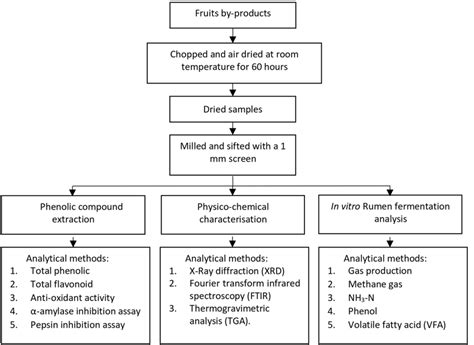 Process Fruit 的图像结果