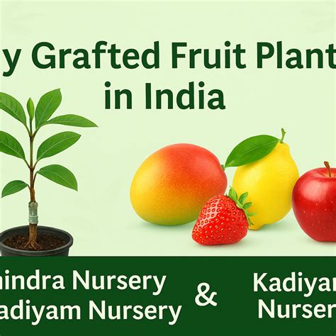 Best Gardening Tips | News and Care — Tagged "grafted fruit plants ...