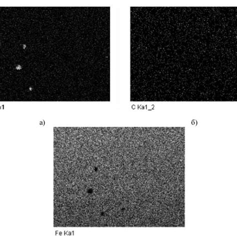 Image result for Scanning Electron Microscope Images