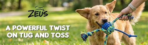 Buy Zeus Rope & Ball Dog Toy for Training and Chewing | Durable Rope ...