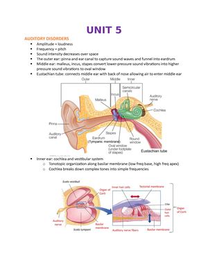Image result for Contralateral Activities