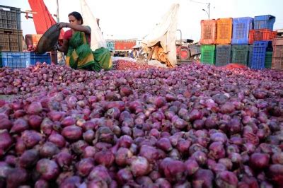 RBI to wait for stronger growth signals before rate cut as inflation ...