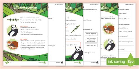 KS1 Non-Chronological Report on Pandas Reading Comprehension