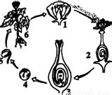 Image result for Variables in Python Instance and Class