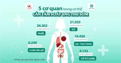 5 cơ quan trong cơ thể cần tầm soát ung thư sớm - Hong Hung Hospital