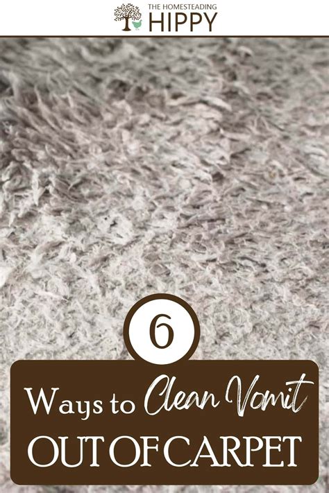 How To Clean Puke Out Of Carpet at Abbey Wales blog