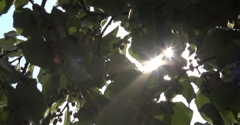 Tancada l'Alerta del Pla PROCICAT un cop finalitzada l'onada de calor ...