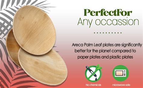 Buy Areca plam Leaf 100% Natural and biodegrable 10 inches Round Plates ...