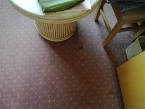 FUJI LAKE HOTEL (Japan/Fujikawaguchiko-machi) - Onsen Hotel Reviews ...