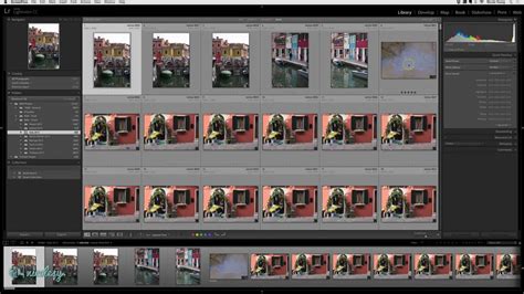 Lightroom Collection Set 的图像结果