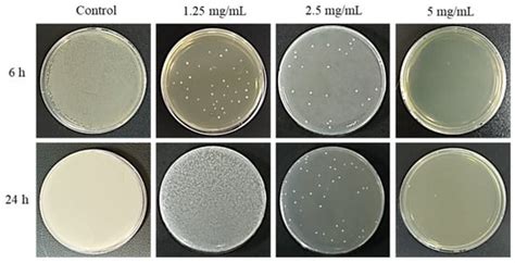 Evaluating the Effectiveness of Phellodendron Amurense Ruprecht Extract ...