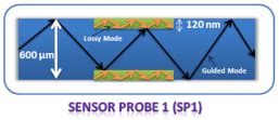 Nanomaterial-Based Sensors for Exhaled Breath Analysis: A Review