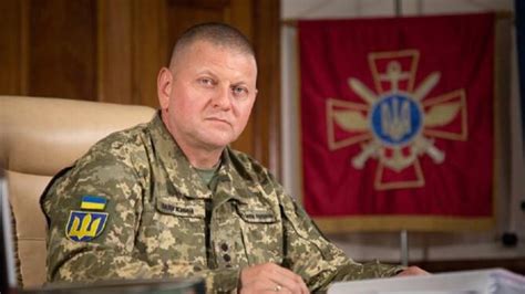 乌克兰总司令：伊洛瓦伊斯克之战，乌军的顽强让俄罗斯和世界震惊_腾讯新闻