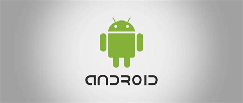 SOFTWIZZ PVT. LTD.| Best Computer Institute in Bathinda