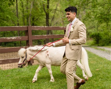 Backyard Wedding Checklist 的图像结果