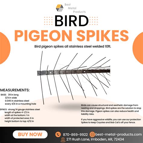 Pigeon Spikes 的图像结果