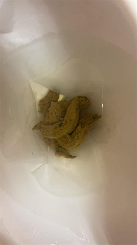 Image result for Normal Poop Images