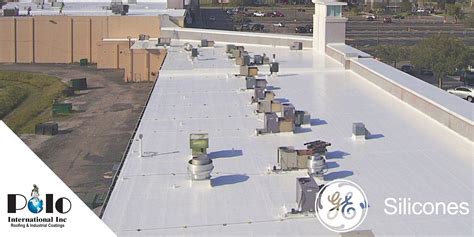 Case Study: Texas A&M - Polo International