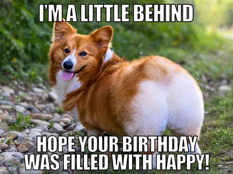 35 Happy Belated Birthday Memes Images For People Who Forget