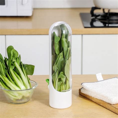 Vegetable Storage - Buy Best Herb Storage Container Online