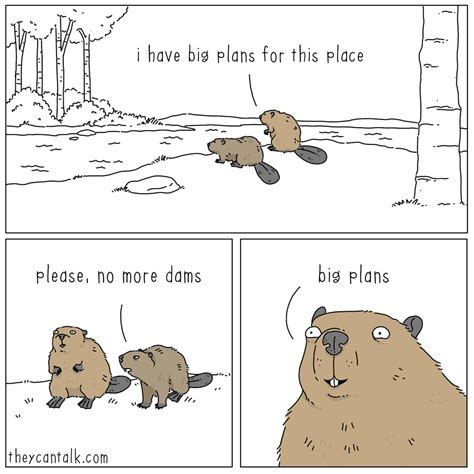 they can talk — plans