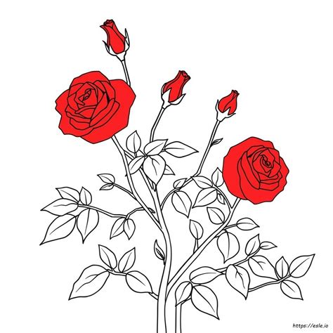 Red Rose Coloring Page